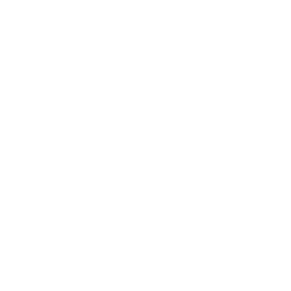 RAH RACE